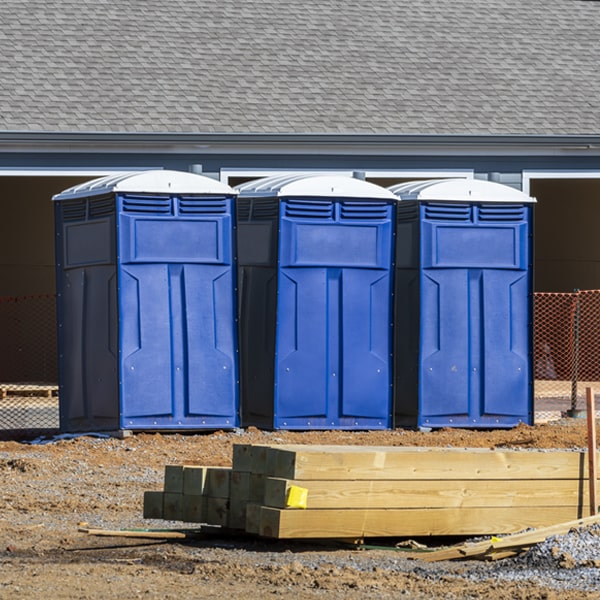 how can i report damages or issues with the porta potties during my rental period in Irondale